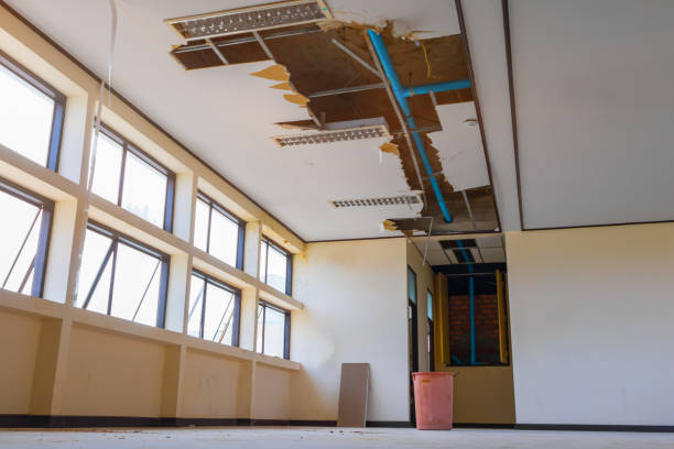 Best 24/7 water damage repair  in Melwood, MD