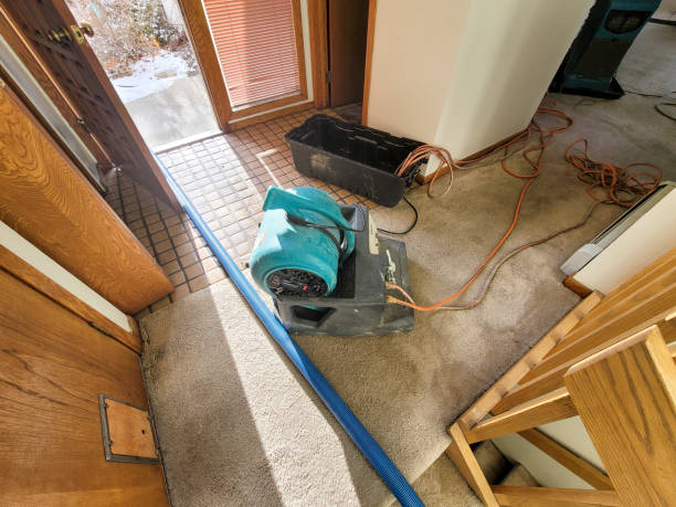 Best Mold removal after water damage  in Melwood, MD