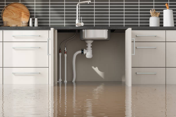 Best Professional water damage repair  in Melwood, MD